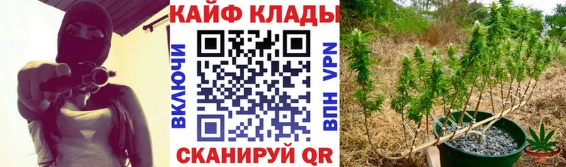 Какие есть наркотики Севск Alpha PVP  Cocaine  ГАШ  Меф мяу мяу  Галлюциногенные грибы  Канабис 