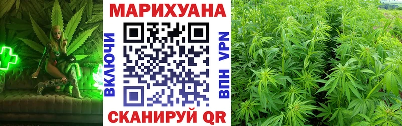 Бошки марихуана OG Kush  Севск 